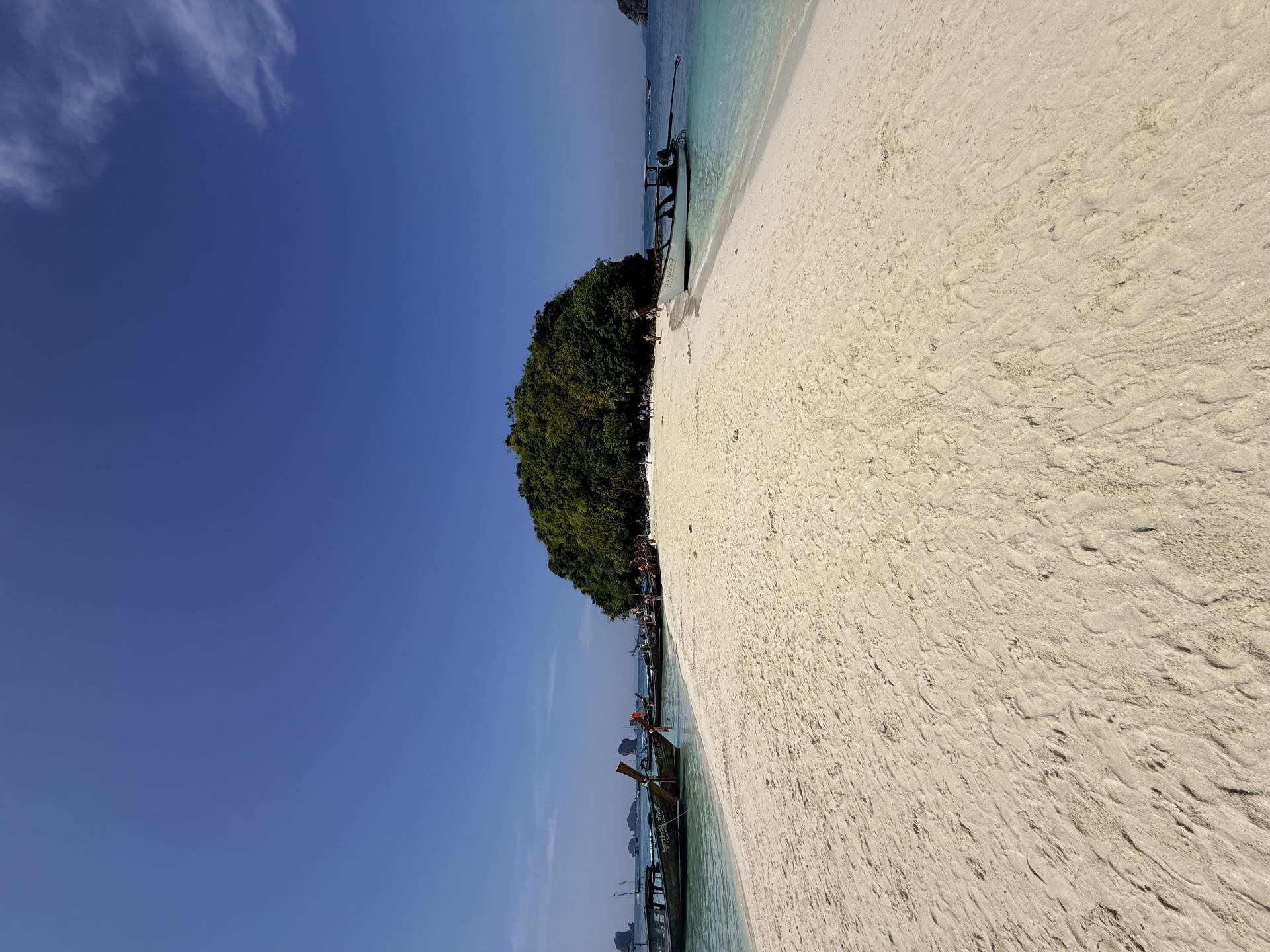 G_20260431_PIC.webp